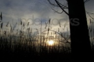 understocks-sunset-landscape-free-stock-photo-royalty-free