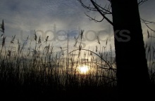 understocks-sunset-landscape-free-stock-photo-royalty-free